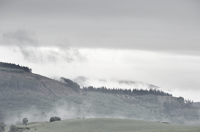 一直以來在威士忌市場中不斷突破自我